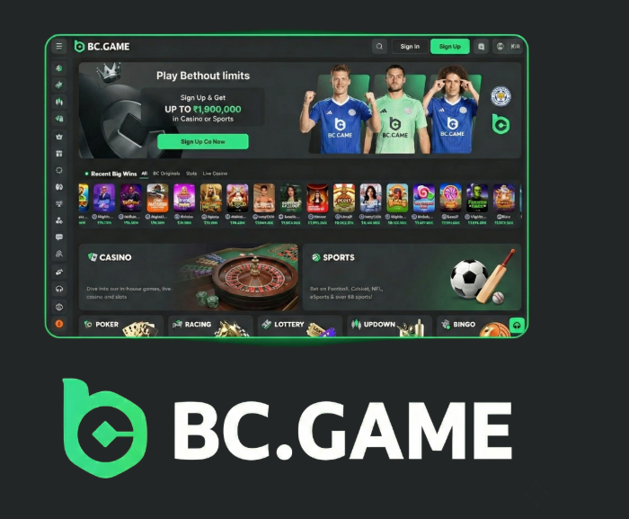 Understanding the BC.Game Login Process A Step-By-Step Guide -442360947 Understanding the BC.Game Login Process A Step-By-Step Guide -442360947